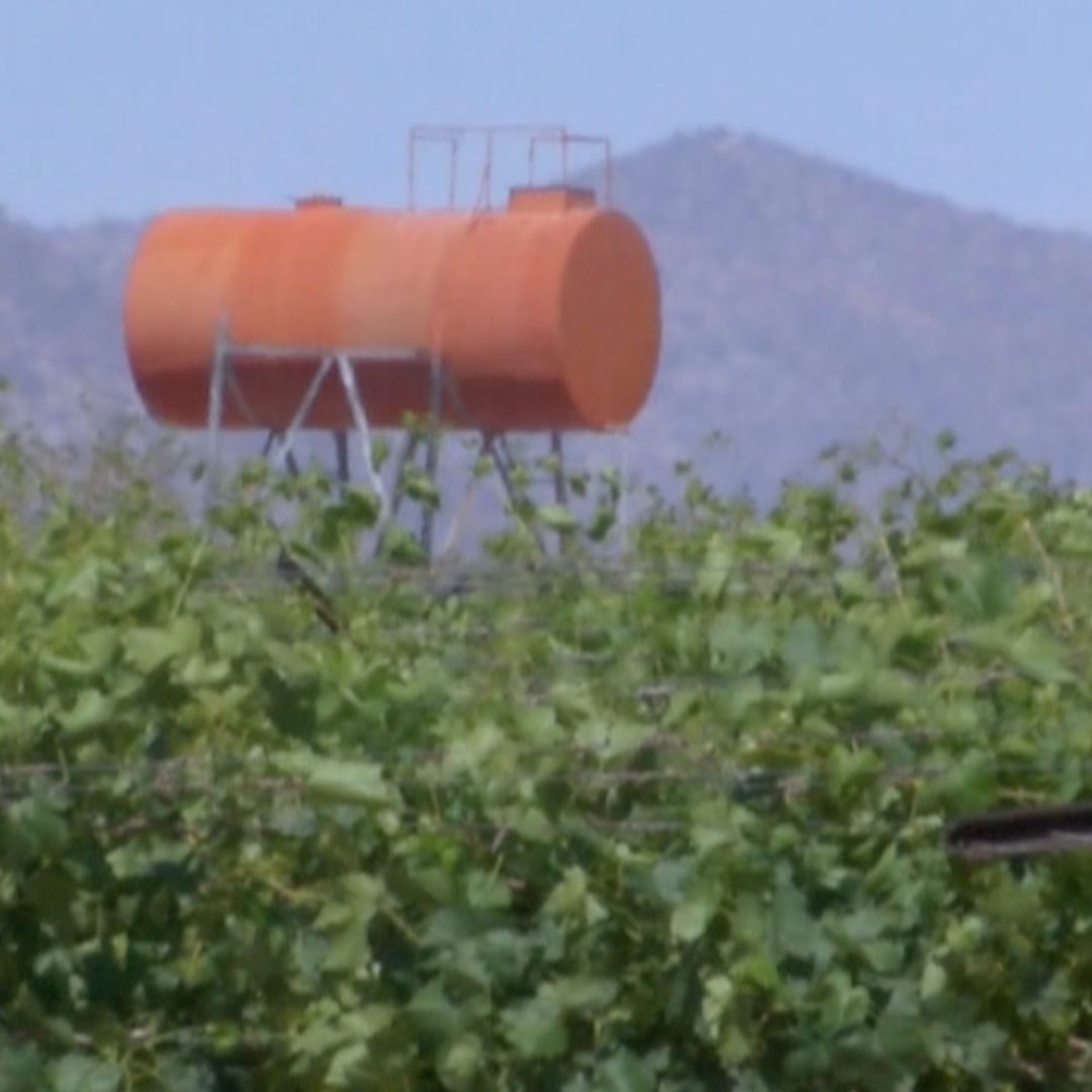 Localizan a Hombre Sin Vida en Represo de Campo Agrícola en la Costa de Hermosillo